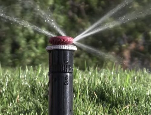 Video: Watch These Smart Irrigation Tips!