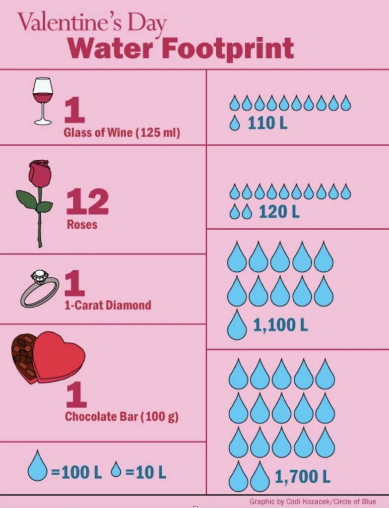 What is Your Water Footprint? CV Water Counts
