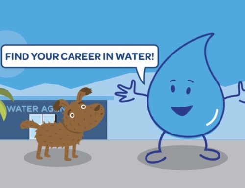Find Your Career in Water