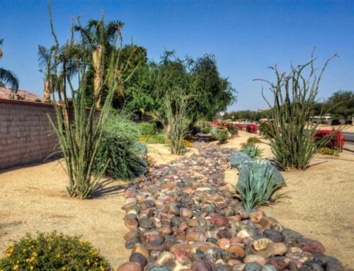 Landscaping Tip Of The Month: Add A Dry Creek To Your Landscape