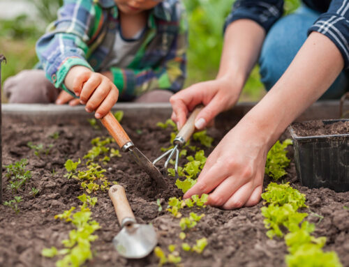 Landscaping Tip Of The Month: A Vegetable Or Herb Garden Should Be On Its Own Irrigation Zone