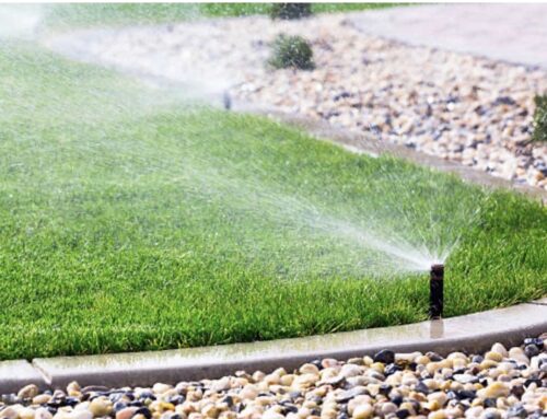 Cut Back On Water During The Cooler Months
