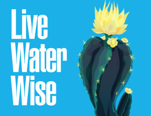 Live Water Wise