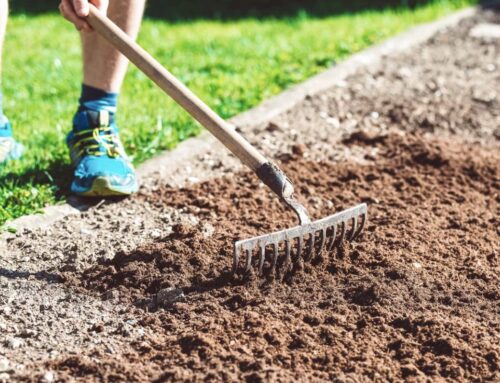 Landscaping Tip Of The Month: Aerate Your Soil