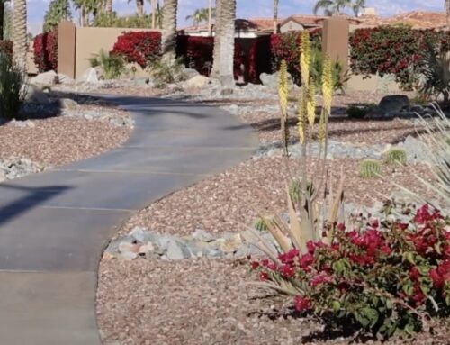 Landscaping Tip Of The Month: HOA Landscape Conversion