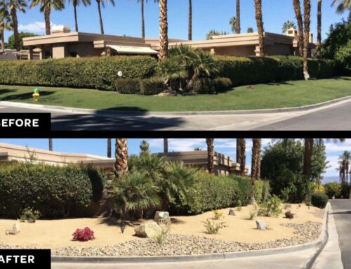 Landscaping Tip Of The Month: Reduce The Amount Of Lawn In Your Yard