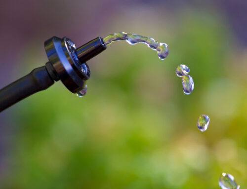 July Is Smart Irrigation Month – Are You Watering Wisely?