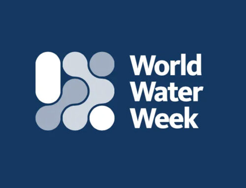 World Water Week 2025: Water for Climate Action