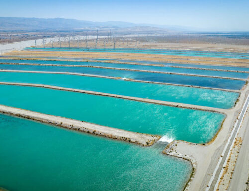 Ten Ways To Help Protect Our Groundwater