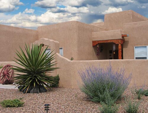 Transforming Lawns, Saving Water