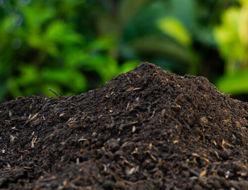 Landscaping Tip Of The Month: Top 5 Landscaping Tips For Protecting Groundwater