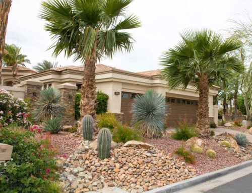 Landscaping Tip of the Month: Group Plants by Water Needs—and Apply Deep and Infrequent Irrigation