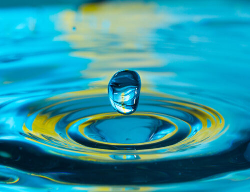 The Value of Water and Conservation