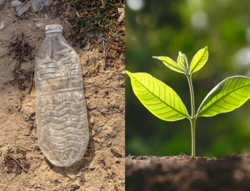 10 Reasons to Use a Reusable Water Bottle