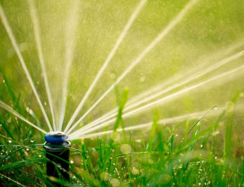 Smart Irrigation Month: Water Smarter, Not Harder