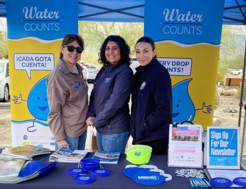 Get Inspired at Desert Garden Day!